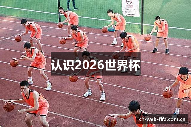 认识2026世界杯